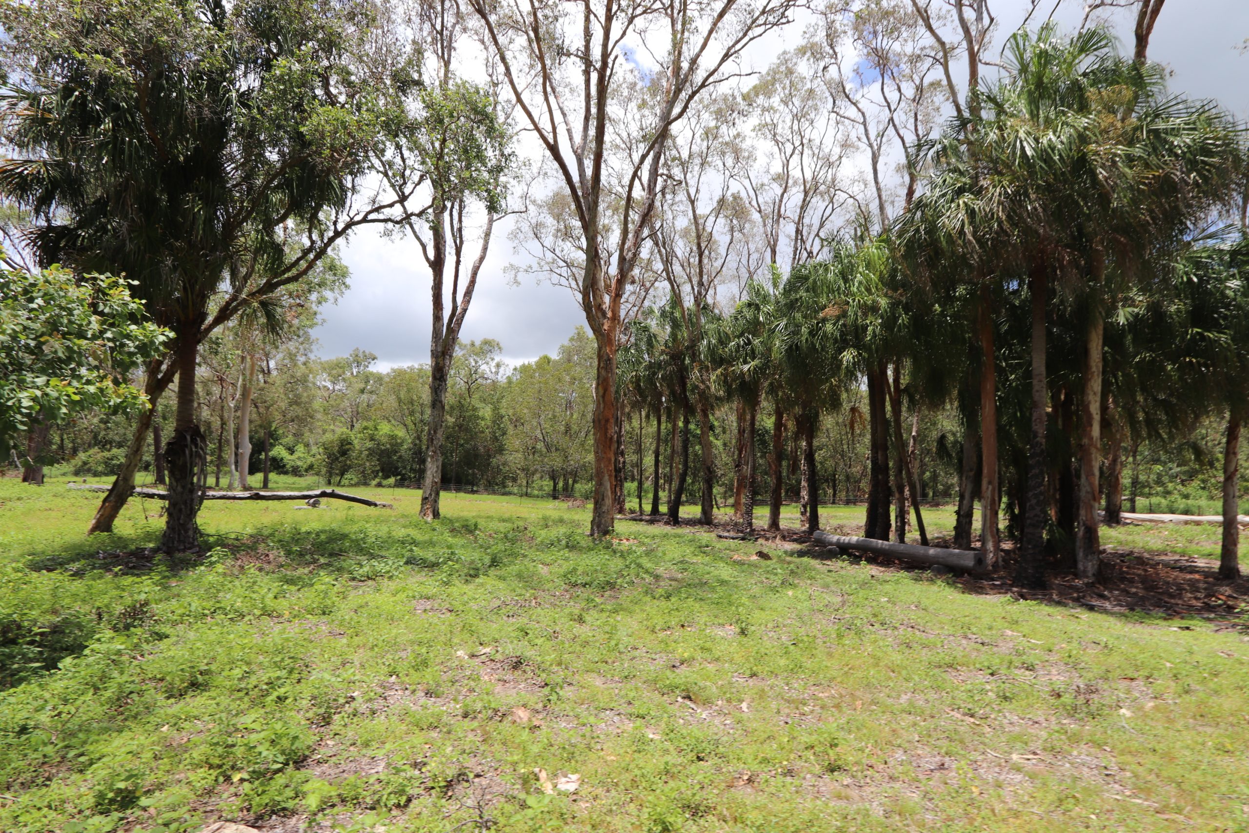 285 Riley Road, CAPE CLEVELAND, QLD 4810 AUS