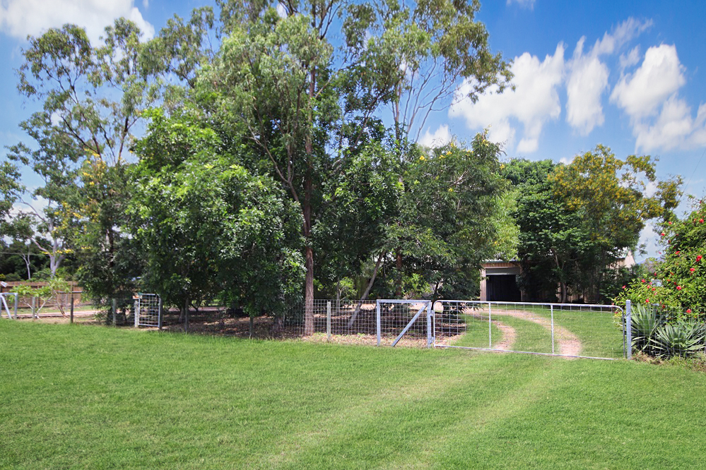 2 Caterina Court, BLACK RIVER, QLD 4818 AUS
