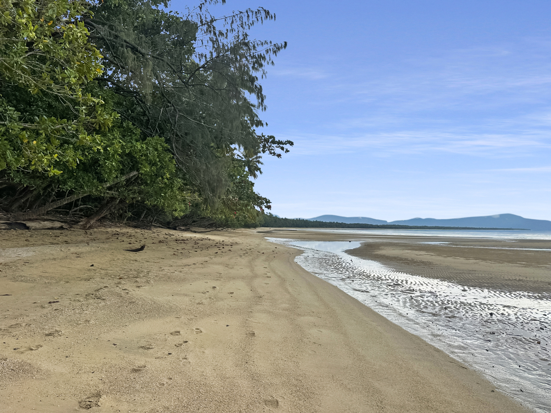 98 Marlin Drive, WONGA BEACH, QLD 4873 AUS