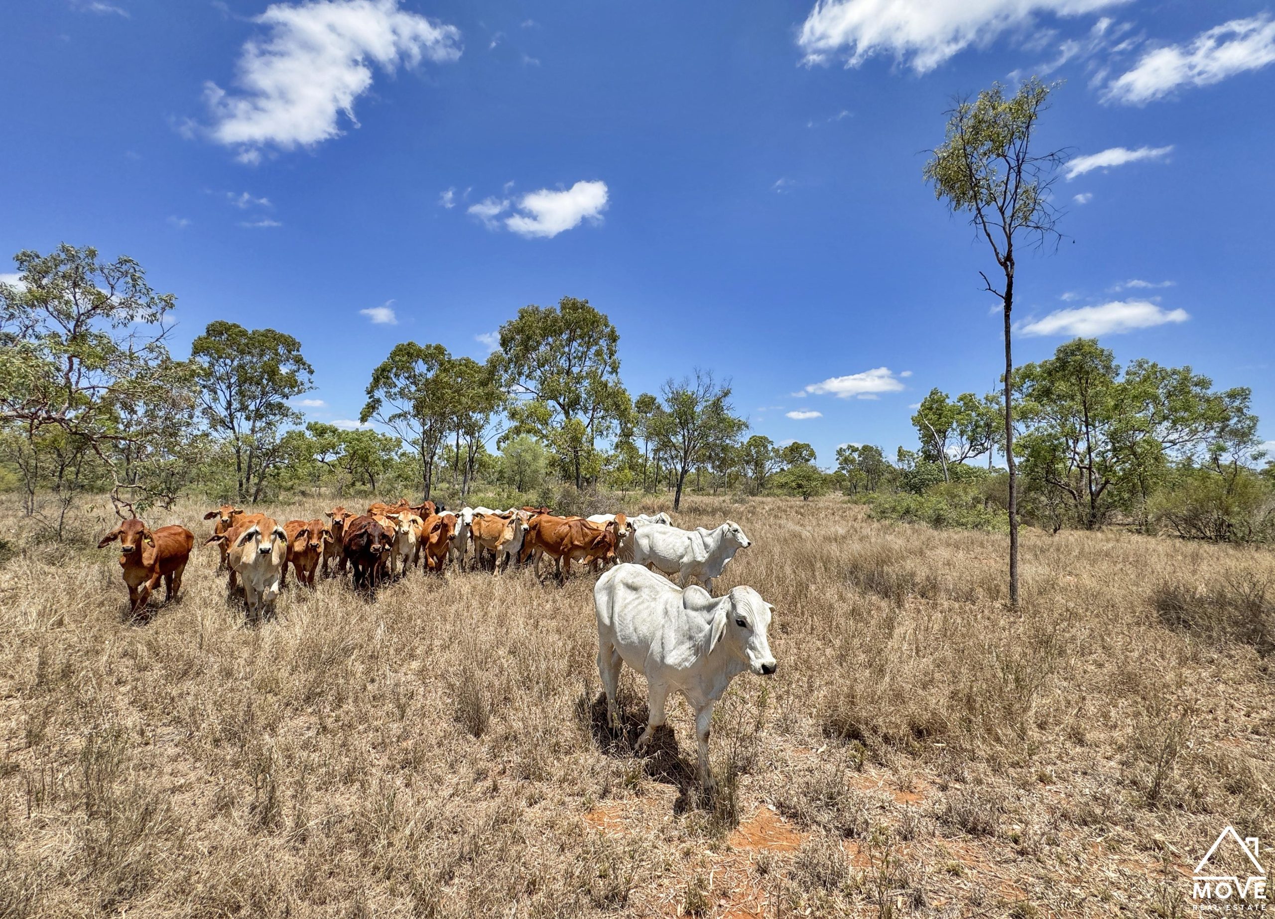 65 Mango Road, BREDDAN, QLD 4820 AUS